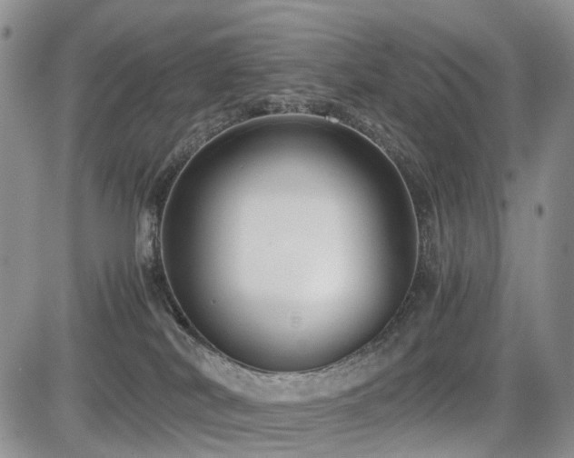 X0000085790038200703161135