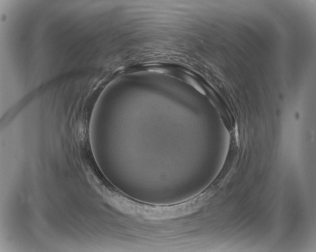 X0000085790039200703161135