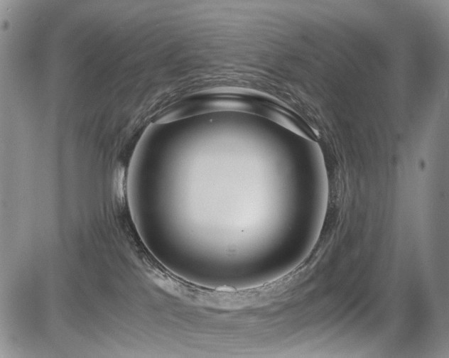 X0000085790041200703161135