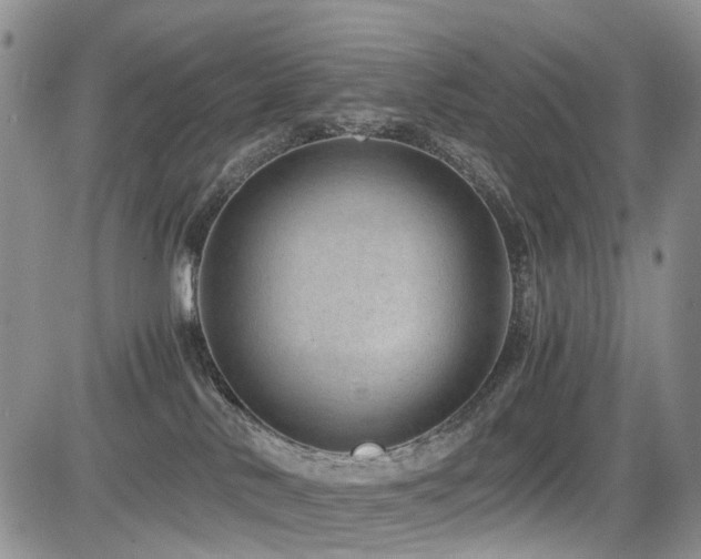 X0000085790042200703161135