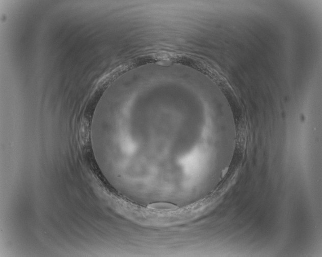X0000085790043200703161135