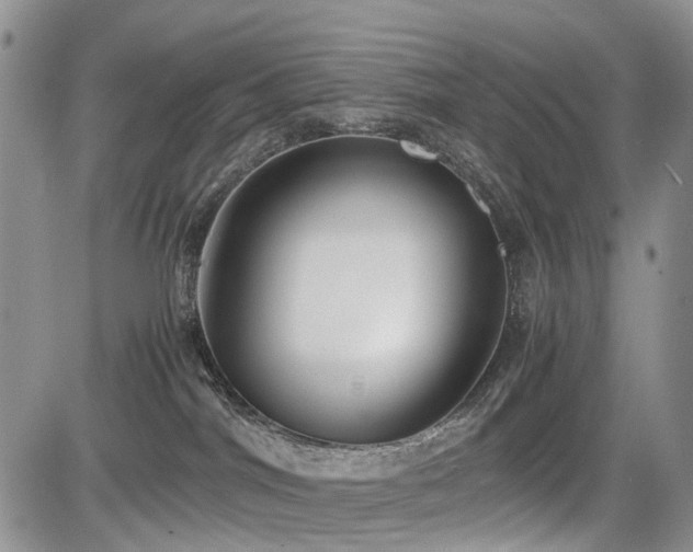 X0000085790044200703161135