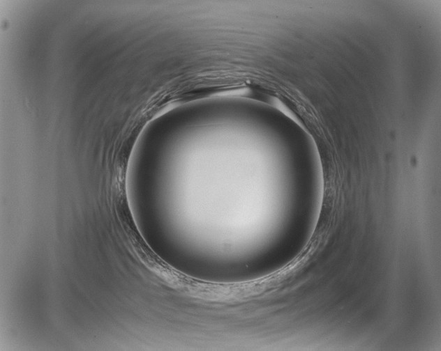 X0000085790045200703161135