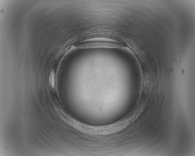 X0000085790046200703161135