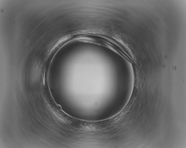 X0000085790062200703161134