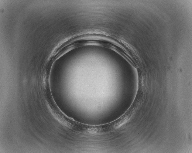 X0000085790064200703161135