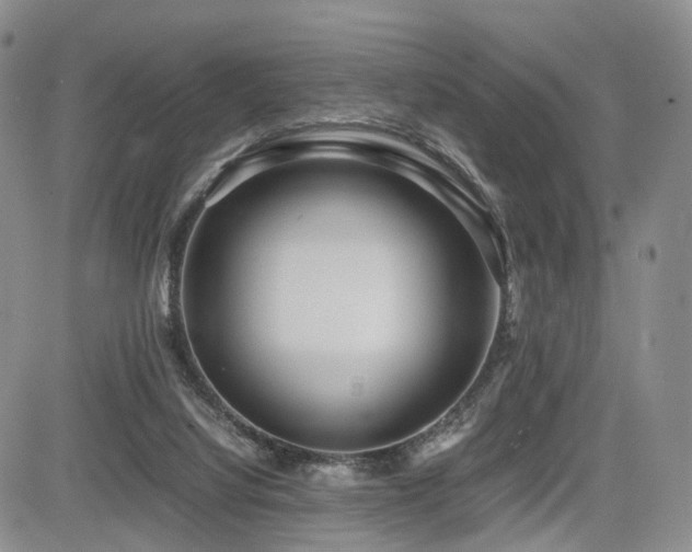 X0000085790068200703161135
