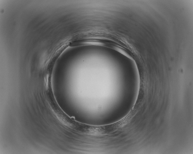X0000085790070200703161135