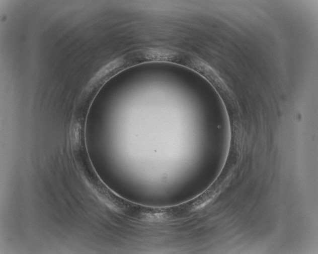 X0000085790071200703161135