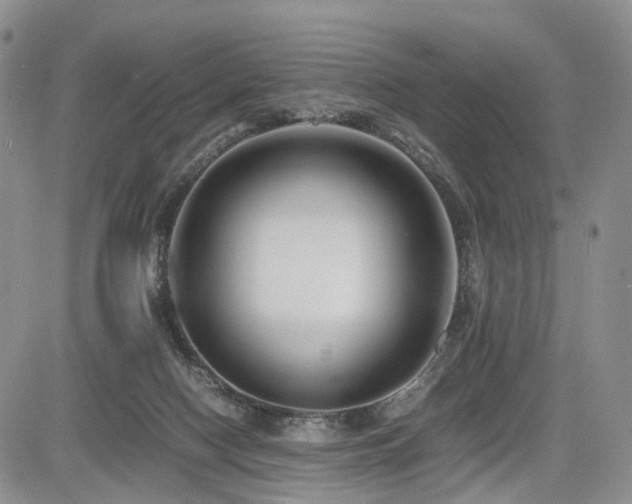 X0000085790074200703161135