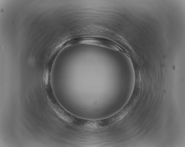 X0000085790076200703161135