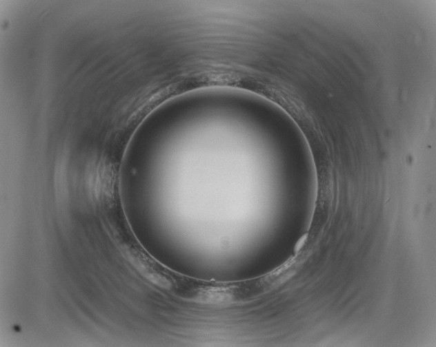 X0000085790078200703161135