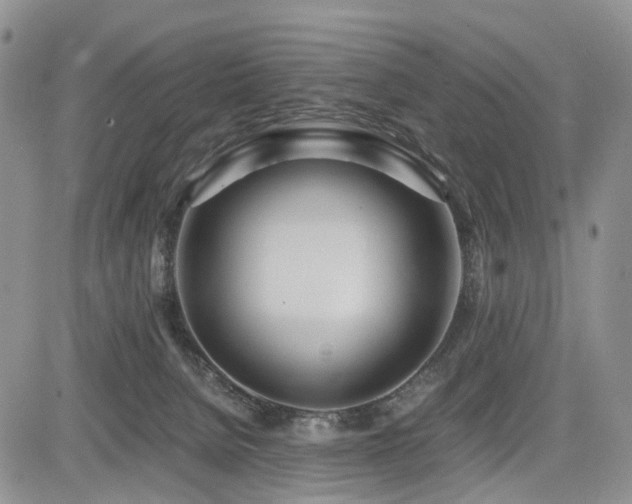 X0000085790080200703161135