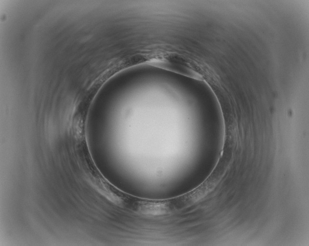 X0000085790081200703161135