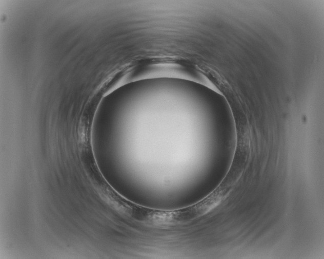 X0000085790084200703161135