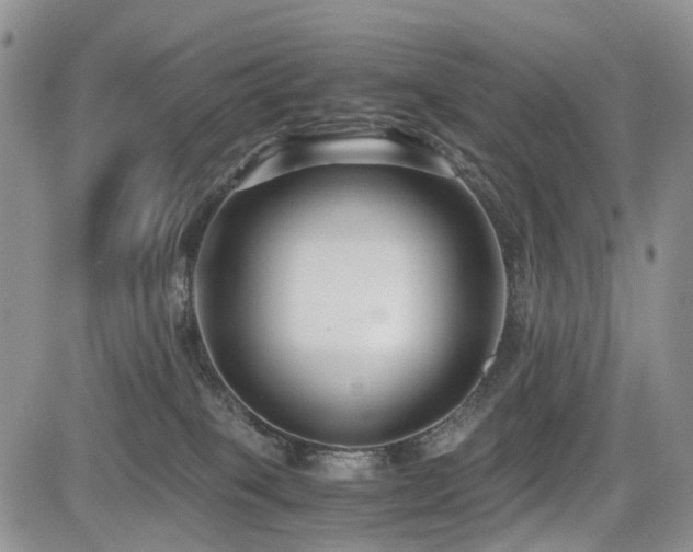 X0000085790085200703161135