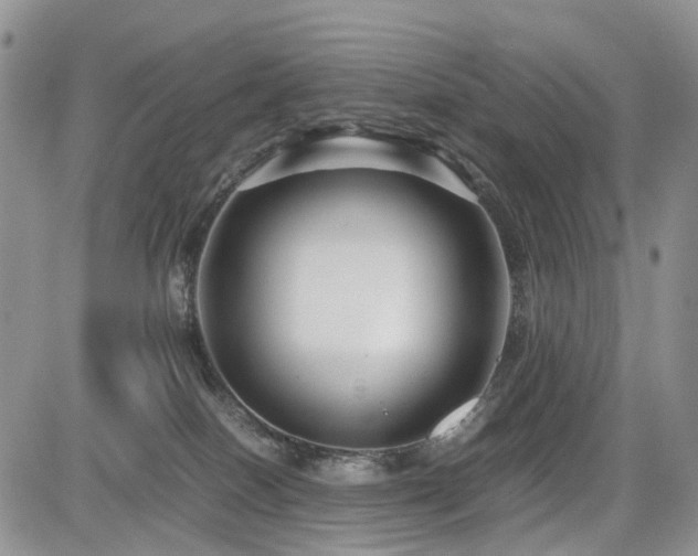 X0000085790086200703161135