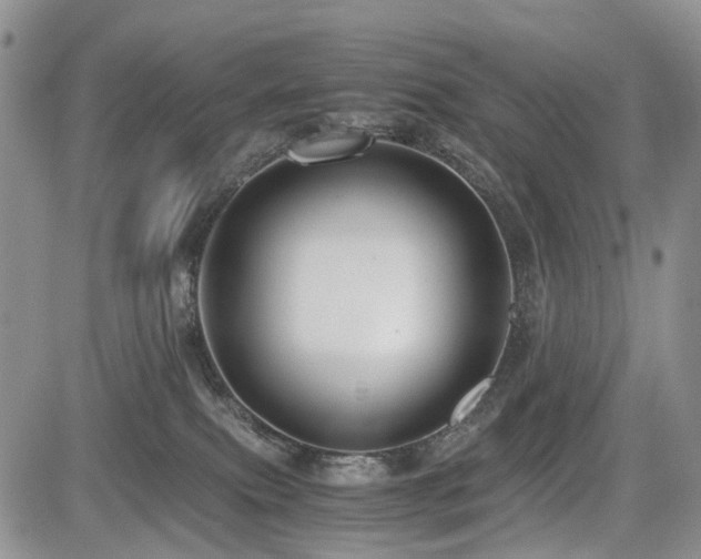 X0000085790087200703161135