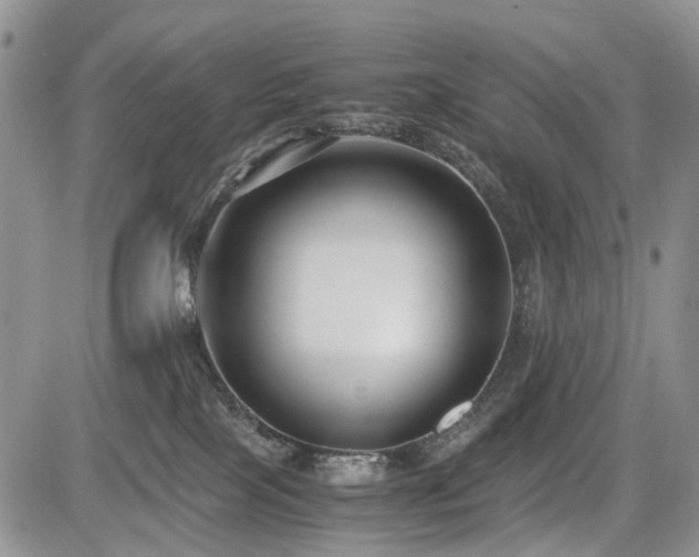 X0000085790089200703161135