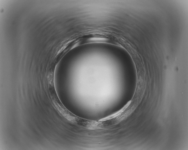 X0000085790096200703161135