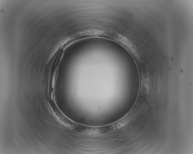 X0000085790110200703161134