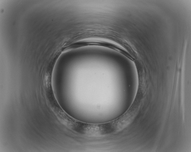 X0000085790123200703161134