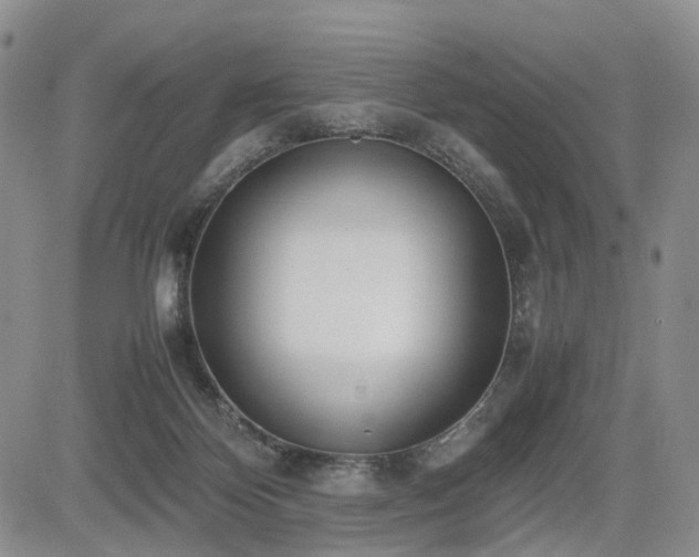 X0000085790124200703161134