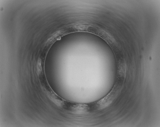 X0000085790128200703161134