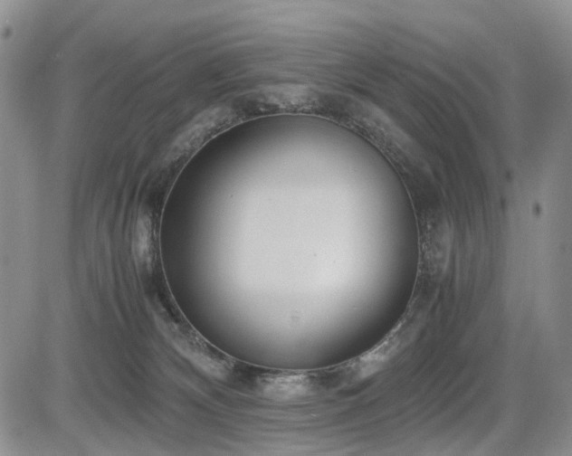 X0000085790132200703161134
