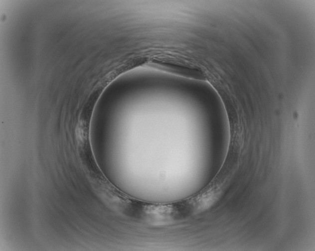 X0000085790135200703161134