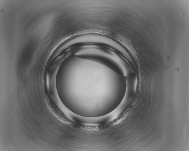 X0000085790156200703161133