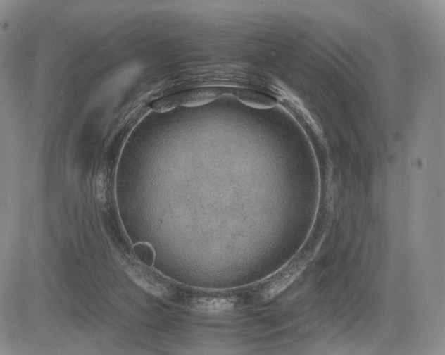 X0000085790161200703161133