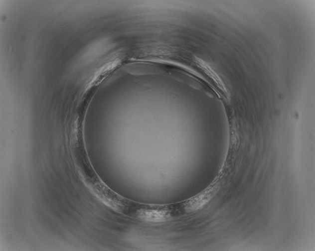 X0000085790163200703161133