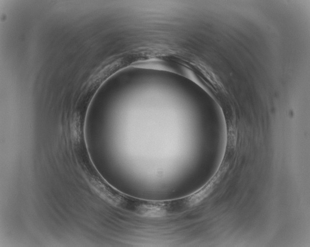 X0000085790170200703161133