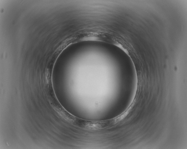 X0000085790174200703161133