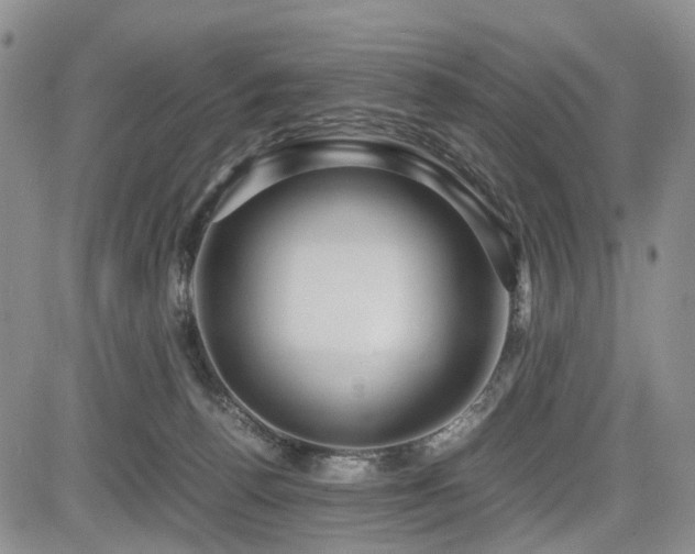X0000085790176200703161133