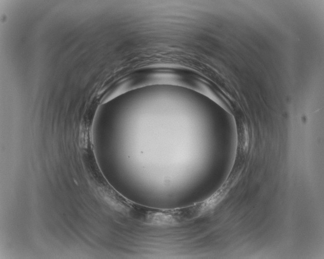 X0000085790180200703161133