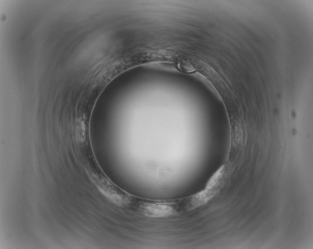 X0000085790183200703161133