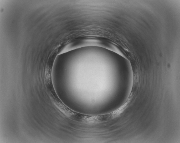 X0000085790186200703161133