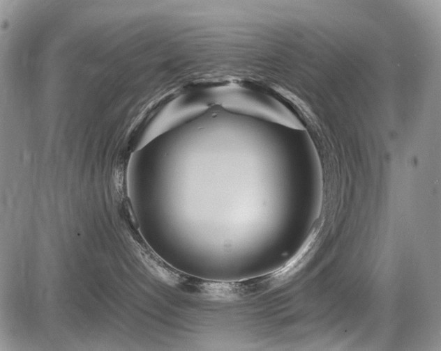 X0000085790192200703161133