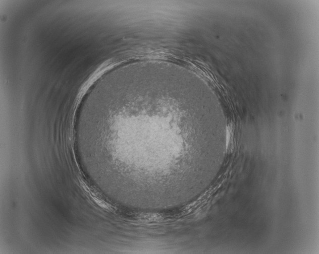 X0000085790195200703161133