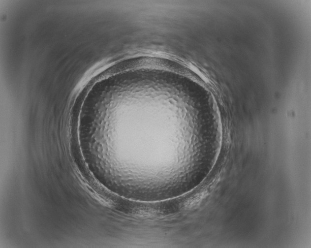 X0000085790199200703161132