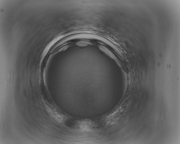 X0000085790200200703161132