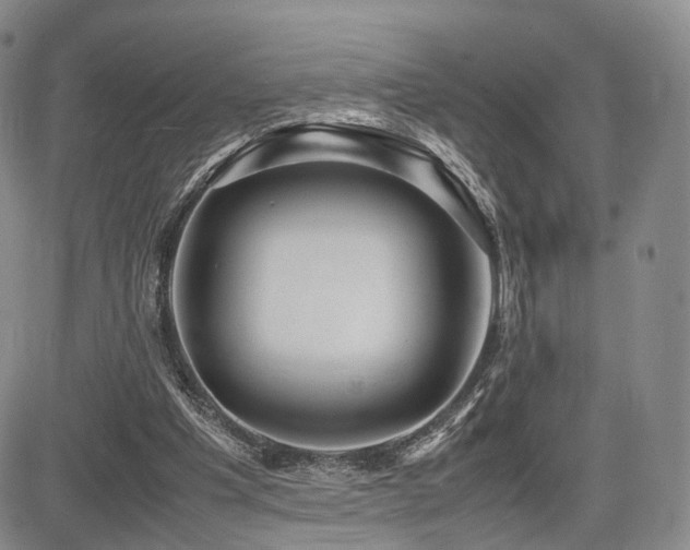 X0000085790201200703161132