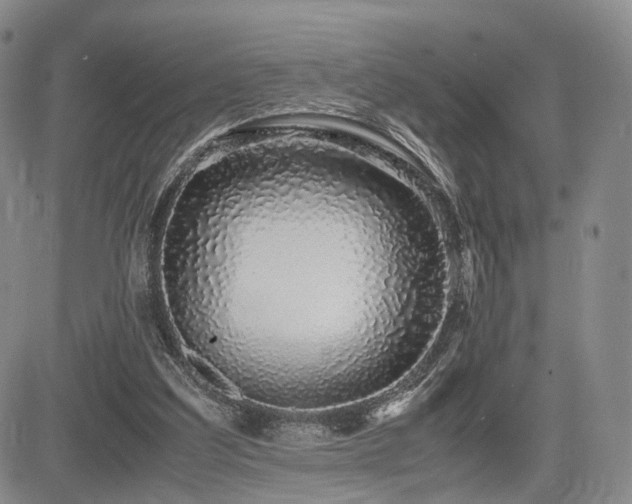 X0000085790203200703161132