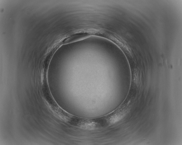 X0000085790206200703161132