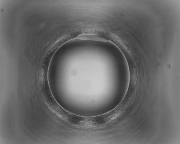 X0000085790211200703161132