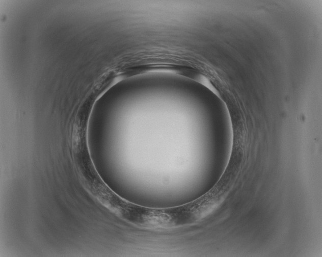 X0000085790215200703161132