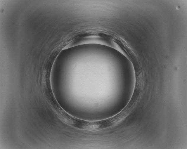 X0000085790217200703161132