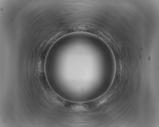 X0000085790224200703161132
